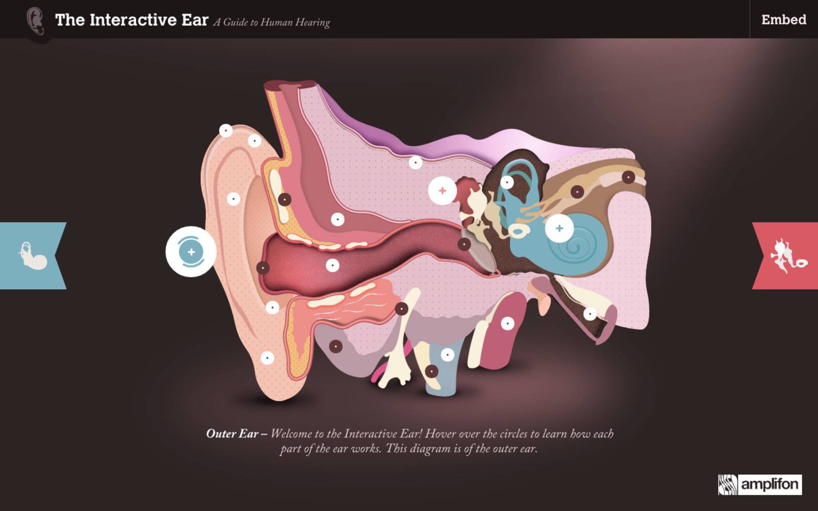 The Interactive Ear Reeoo